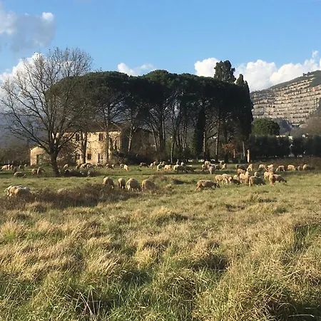 Casa Silvy - Vista Su - Centro Termale * Monsummano Terme