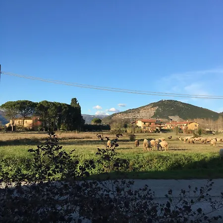 Apartment Casa Silvy - Vista Su - Centro Termale